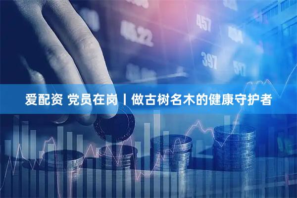 爱配资 党员在岗丨做古树名木的健康守护者