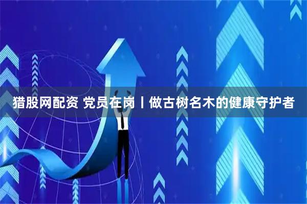 猎股网配资 党员在岗丨做古树名木的健康守护者