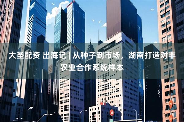 大圣配资 出海记 | 从种子到市场，湖南打造对非农业合作系统样本