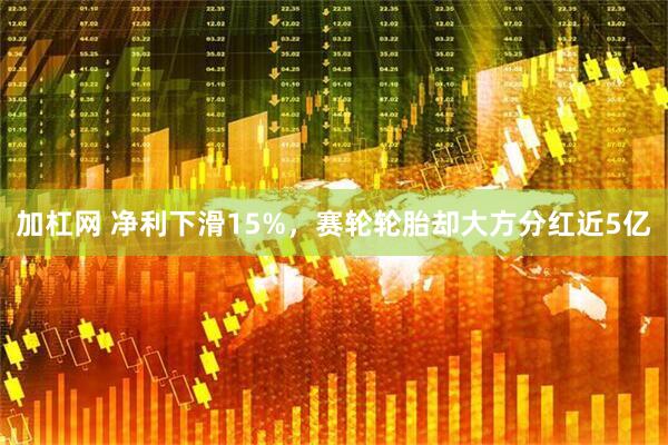 加杠网 净利下滑15%，赛轮轮胎却大方分红近5亿