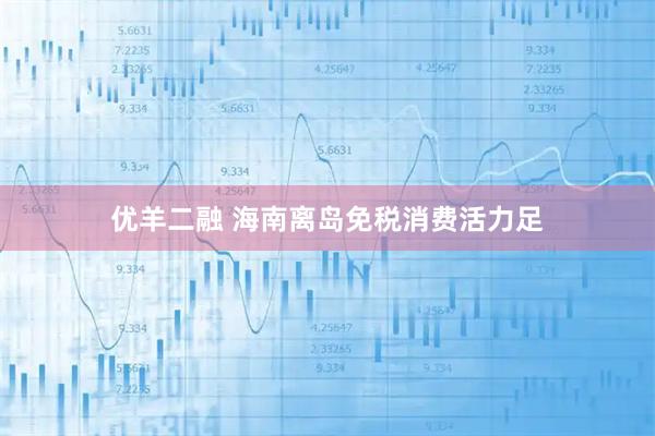 优羊二融 海南离岛免税消费活力足