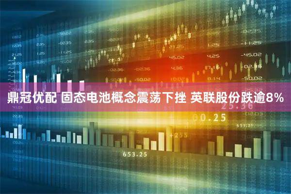 鼎冠优配 固态电池概念震荡下挫 英联股份跌逾8%